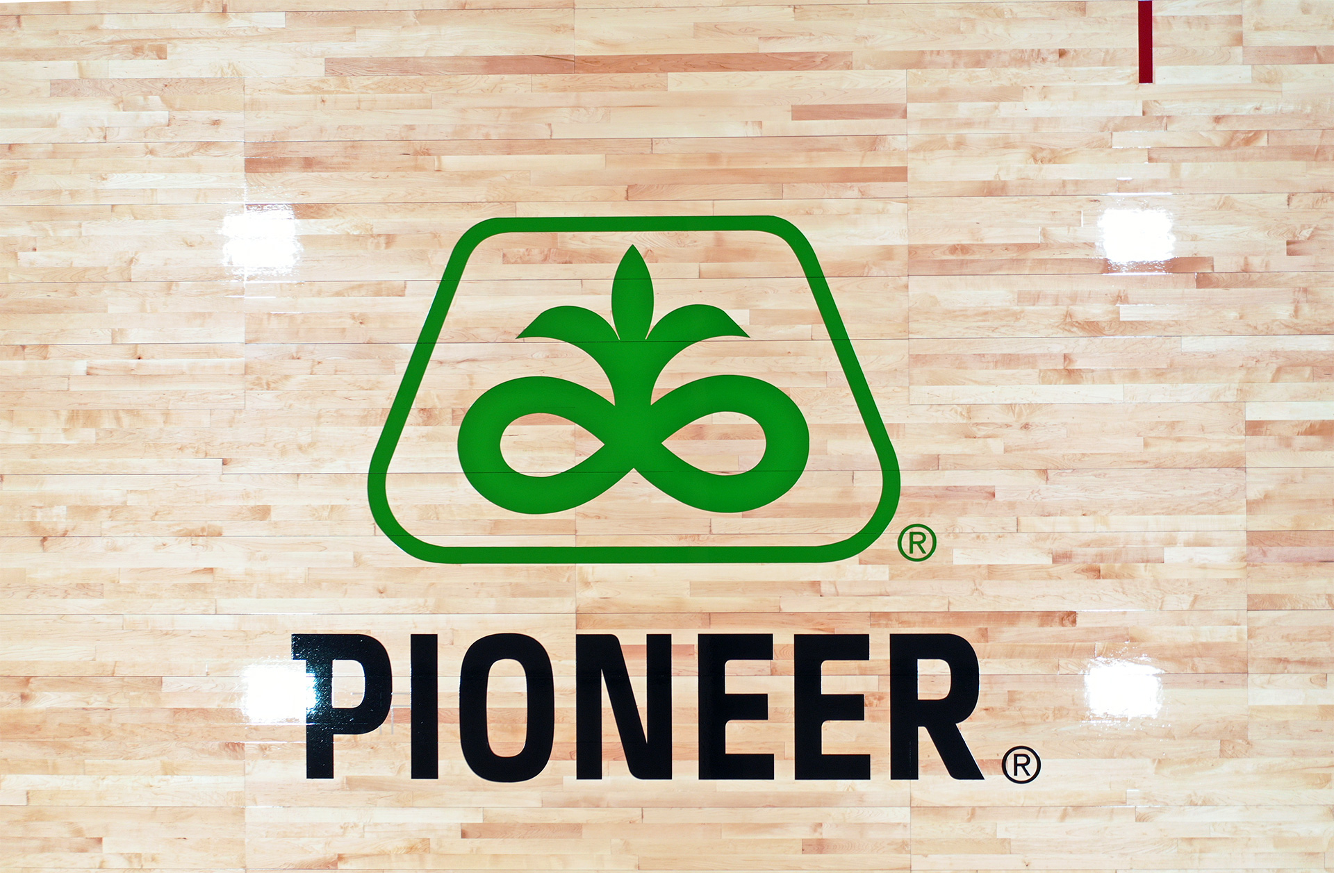 Corner logo court sponsor. Pioneer